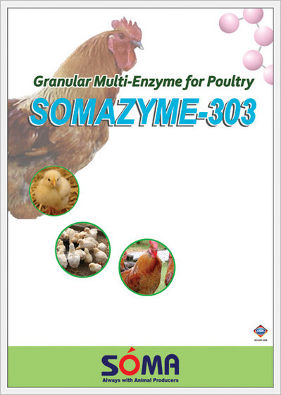 Somazyme - 303  Made in Korea